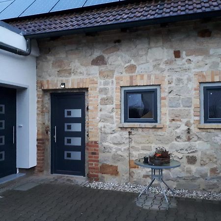 Ferienwohnung Gaensebluemchen Wartenburg エクステリア 写真