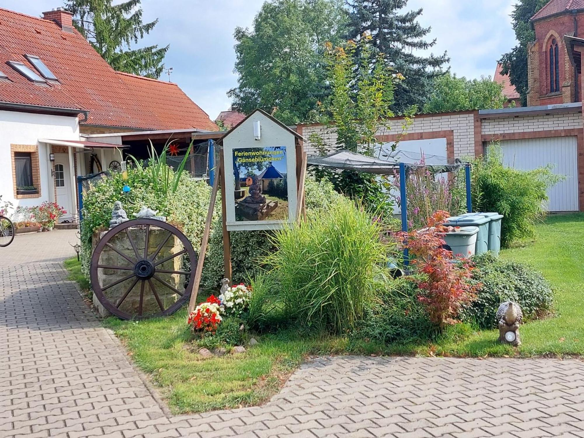 Ferienwohnung Gaensebluemchen Wartenburg エクステリア 写真