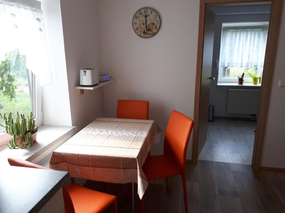 Ferienwohnung Gaensebluemchen Wartenburg エクステリア 写真